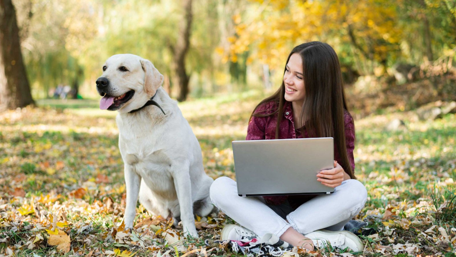 Best-Dogs-For-College-Students