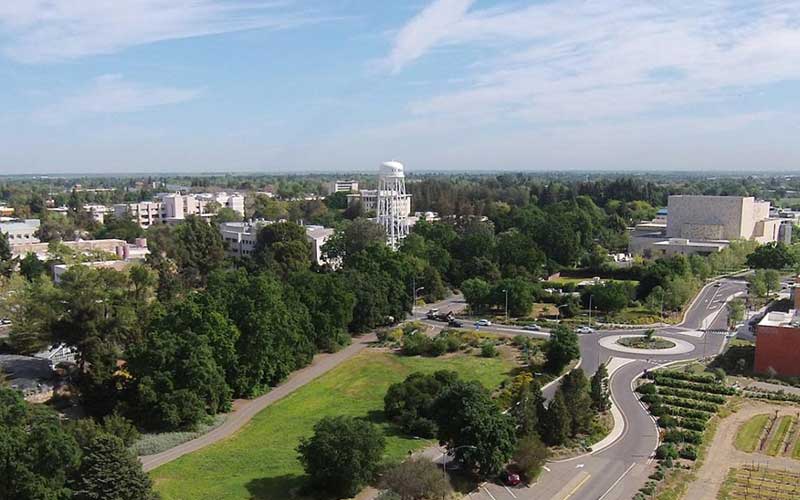 University-of-California-Davis