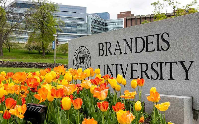 Brandeis-University